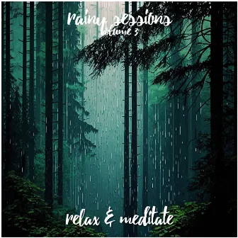 Rainy Sessions - Volume 3 by Relax and Meditate