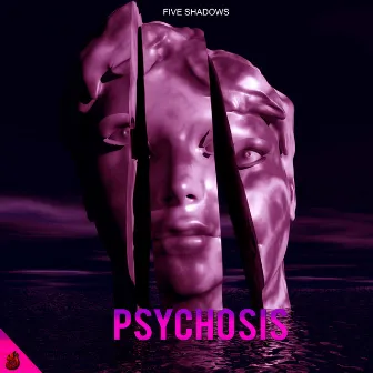 Psychosis by Five Shadows