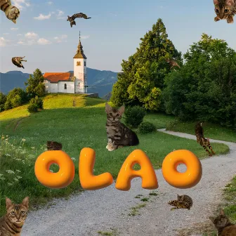 OLAO by PANEB