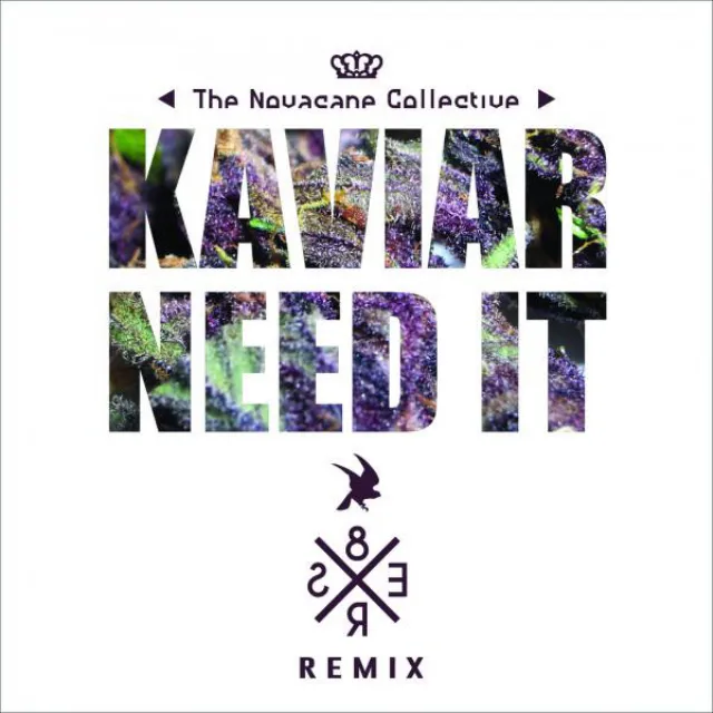 Need It (8er$ remix) - 8er$ Remix