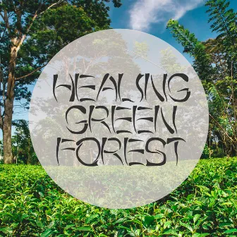 Healing Green Forest - 15 Nature Soundscapes for Blissful and Deep Meditation by Deep Meditation Music System