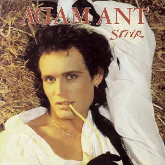 Strip by Adam Ant