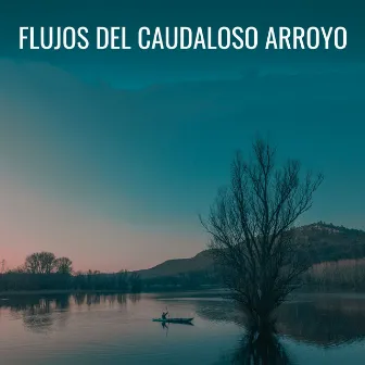 Flujos Del Caudaloso Arroyo by Tiempos de sueño