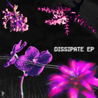 Dissipate EP by Powers Up