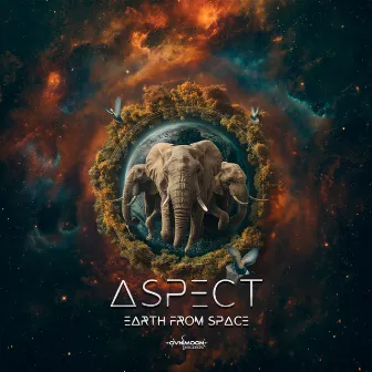 Earth From Space by Aspect