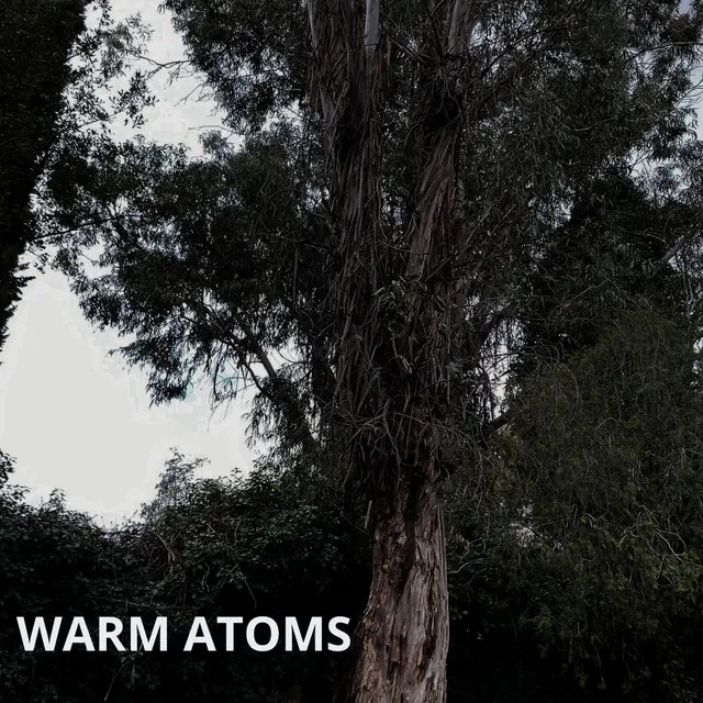 Warm Atoms