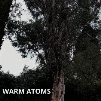 Warm Atoms by Elia Russo