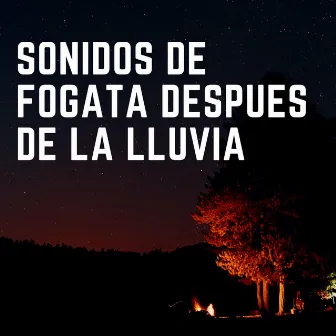 Sonidos De Fogata Después De La Lluvia by Sonidos de Fuego Dormir y Relajarse