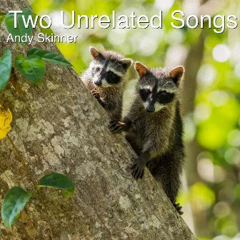 Two Unrelated Songs by Andy Skinner