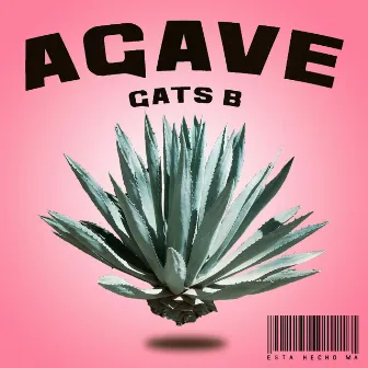 Agave by Gats. B