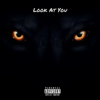 Look at You by Nova