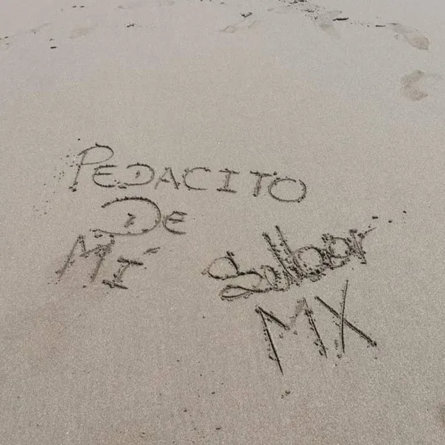 Pedacito de Mí