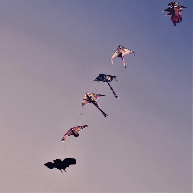 Kites