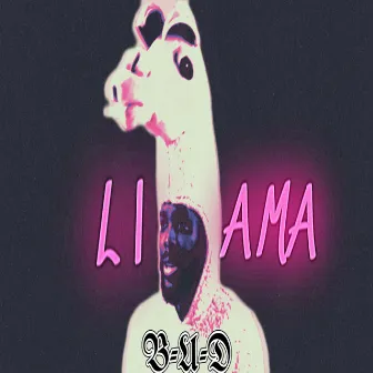 Llama by B-U-D