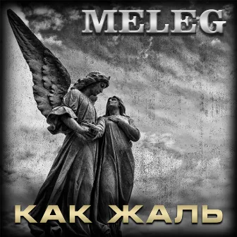 Как жаль by MELEG