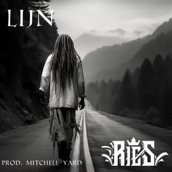 Lijn by Ries