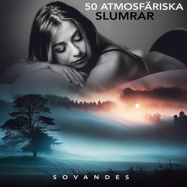 50 Atmosfäriska slumrar