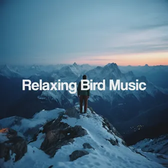 Relaxing Bird Music by 안심하다 Zen