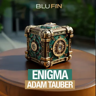 Enigma by Adam Tauber