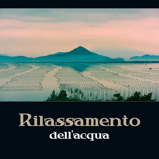 Rilassamento dell'acqua - Sperimentare la calma dei suoni dell'acqua, Onde, pioggia, cascata e fiume