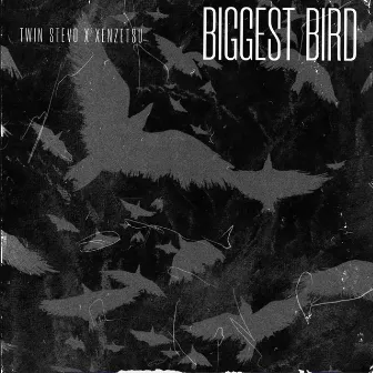 Biggest Bird by Twin Stevo