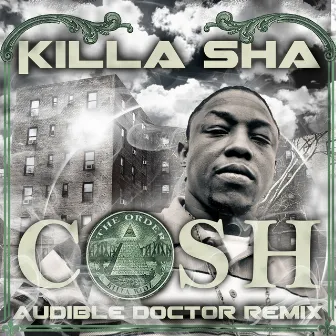 Cash (Audible Doctor Remix) by Killa Sha