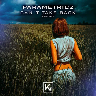 Can’t Take Back by Parametricz