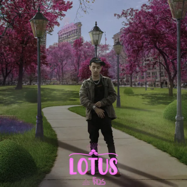 Lótus