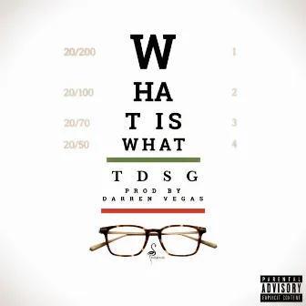 What Is What by TDSG