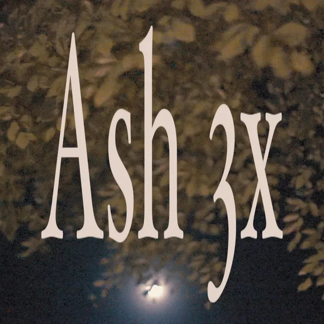 Ash 3x