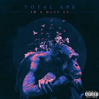 In a Haze by Total Ape