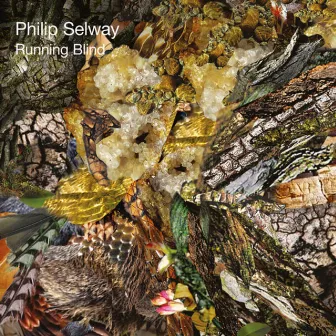 Running Blind by Philip Selway