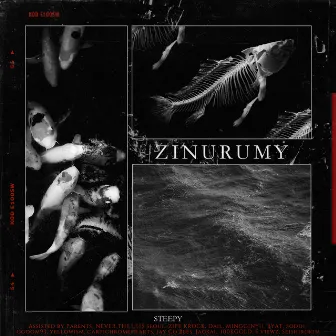 ZINURUMY (FIN) by STEEPY