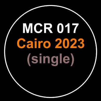 Cairo 2023 by Andrew Chibale