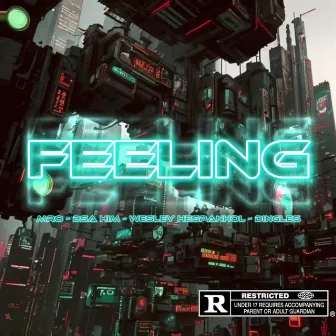 Feeling by Mro Mc