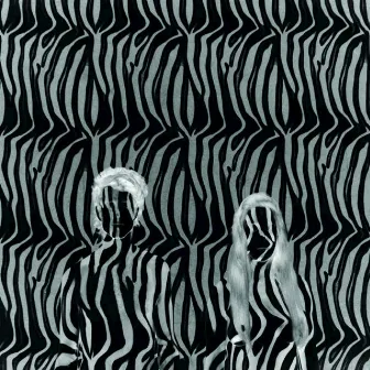 Zebra by Beach House