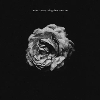 Everything That Remains by Unknown Artist