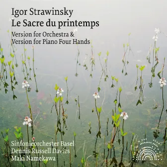 Stravinsky: Le sacre du printemps by Sinfonieorchester Basel