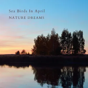 Sea Birds In April by Nature Dreams