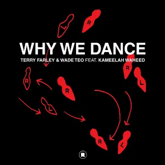 Why We Dance by Terry Farley