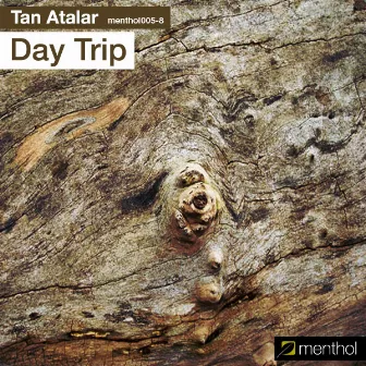 Day Trip by Tan Atalar