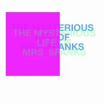 The Mysterious Life Of Mrs Spanks by Paons