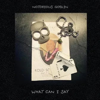 What Can I Say by Notorious Goblin