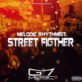 Melodic Rhythmist Street Figther by DJ Zuki da ZS