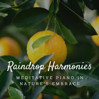 Raindrop Harmonies: Meditative Piano in Nature's Embrace by Rusty Raindrop