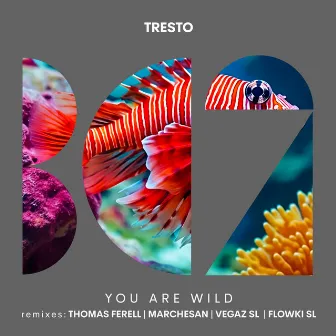 You Are Wild by TRESTO