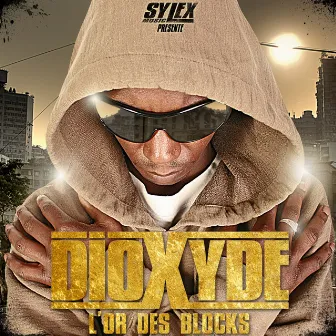 L'or des blocks by Dioxyde