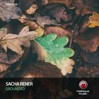 Grounded by Sacha Rener