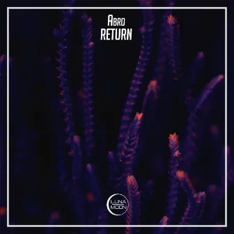 Return by Abro