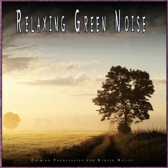 Relaxing Green Noise: Calming Frequencies for Stress Relief by Green Noise Music